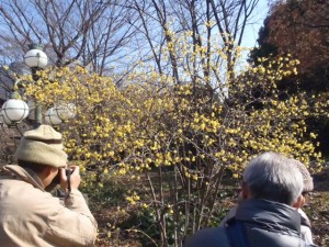 120128_edo_000