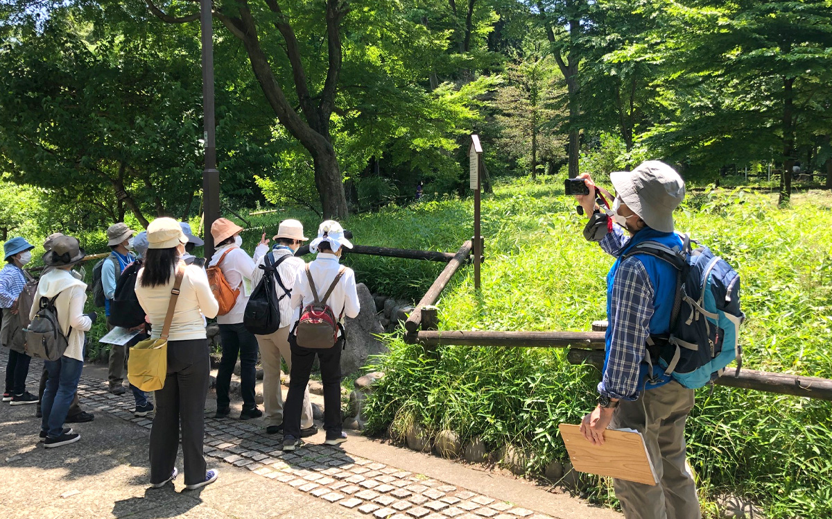 大人が愉しむ