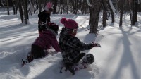 雪に飛び出せ