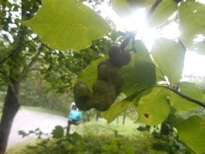 DSCN2283
