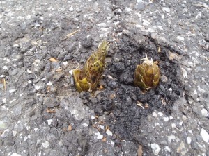 blog_120512-04