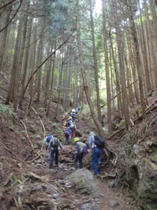 blog_120512-06