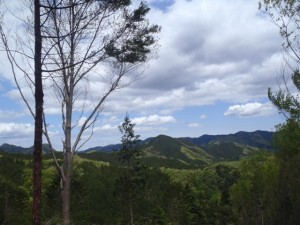 blog_120512-08