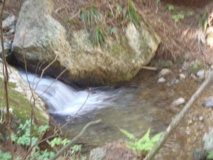 blog_120512-15