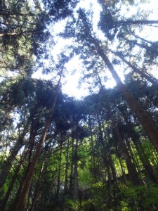 blog_120512-16