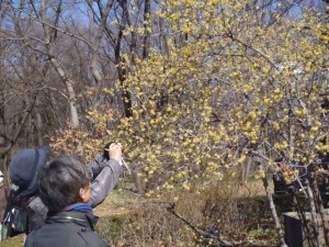 edo_0204_000