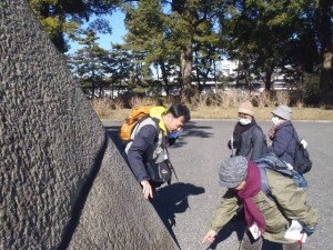 edo_0204_015