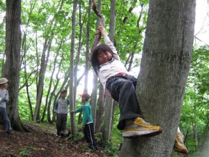 えいっ　～小さな手で藤蔓を握りしめ、小さな足で木の幹にしがみつく。誰からともなく始まったしがみつき大会。アイディアと笑顔が森じゅうにひろがる～